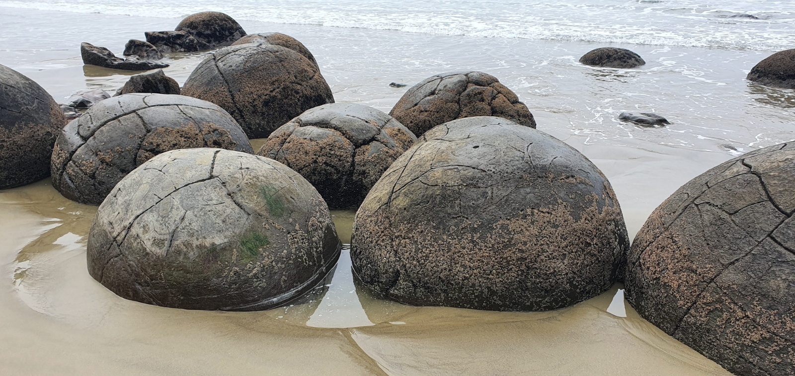 2020 08 Moeraki 120531
